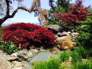 Gardens of Arista Winery
