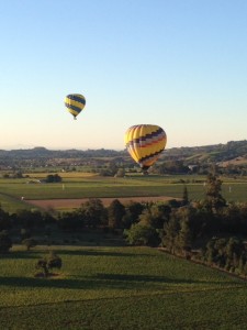 Balloons over the Napa Valley