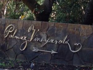 Palmaz Vineyards